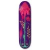 Drawing Boards Costa Rica Torch Ginger Skateboard Deck - 8.25"